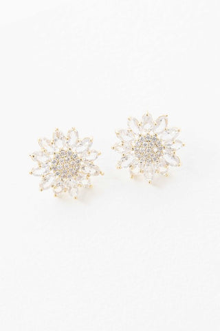 Aurora Shine Earrings
